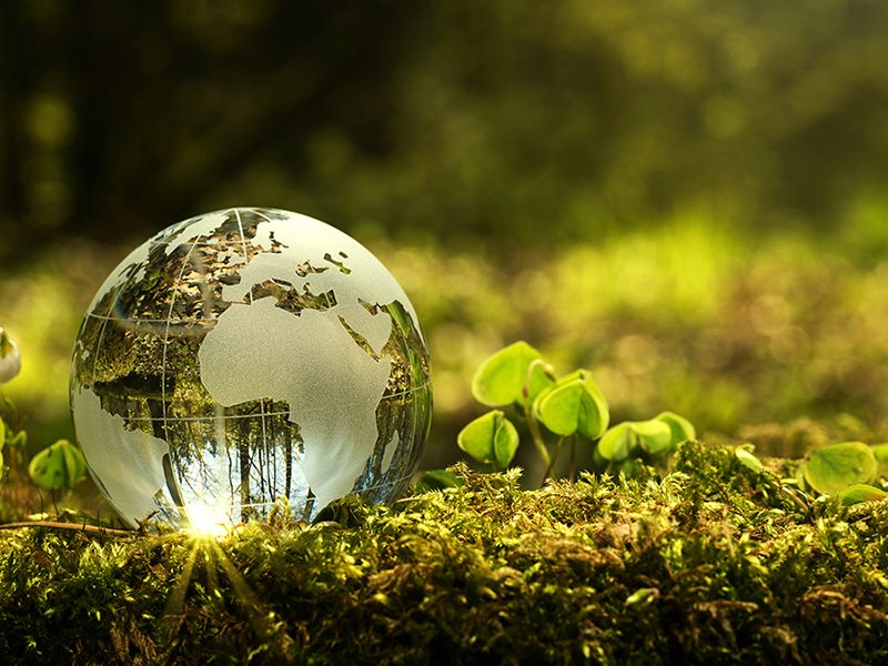 Sustainability in Trade